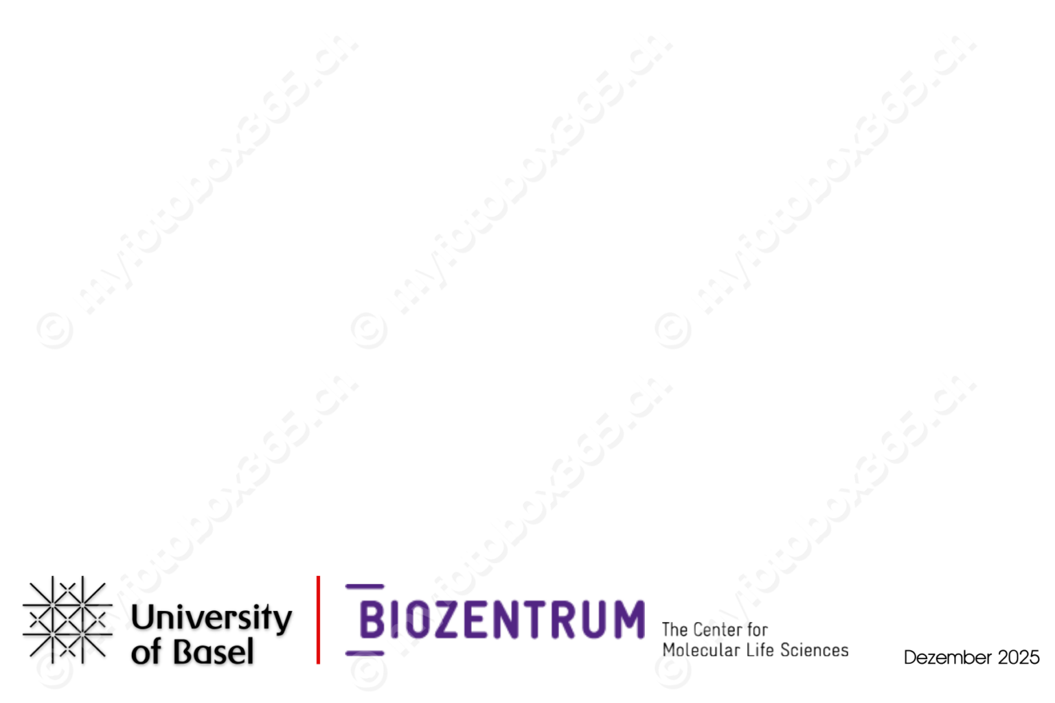 Photobooth-Frame-1800x1200_28