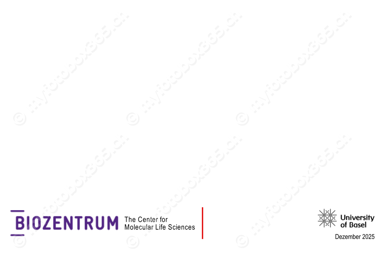 Photobooth-Frame-1800x1200_29